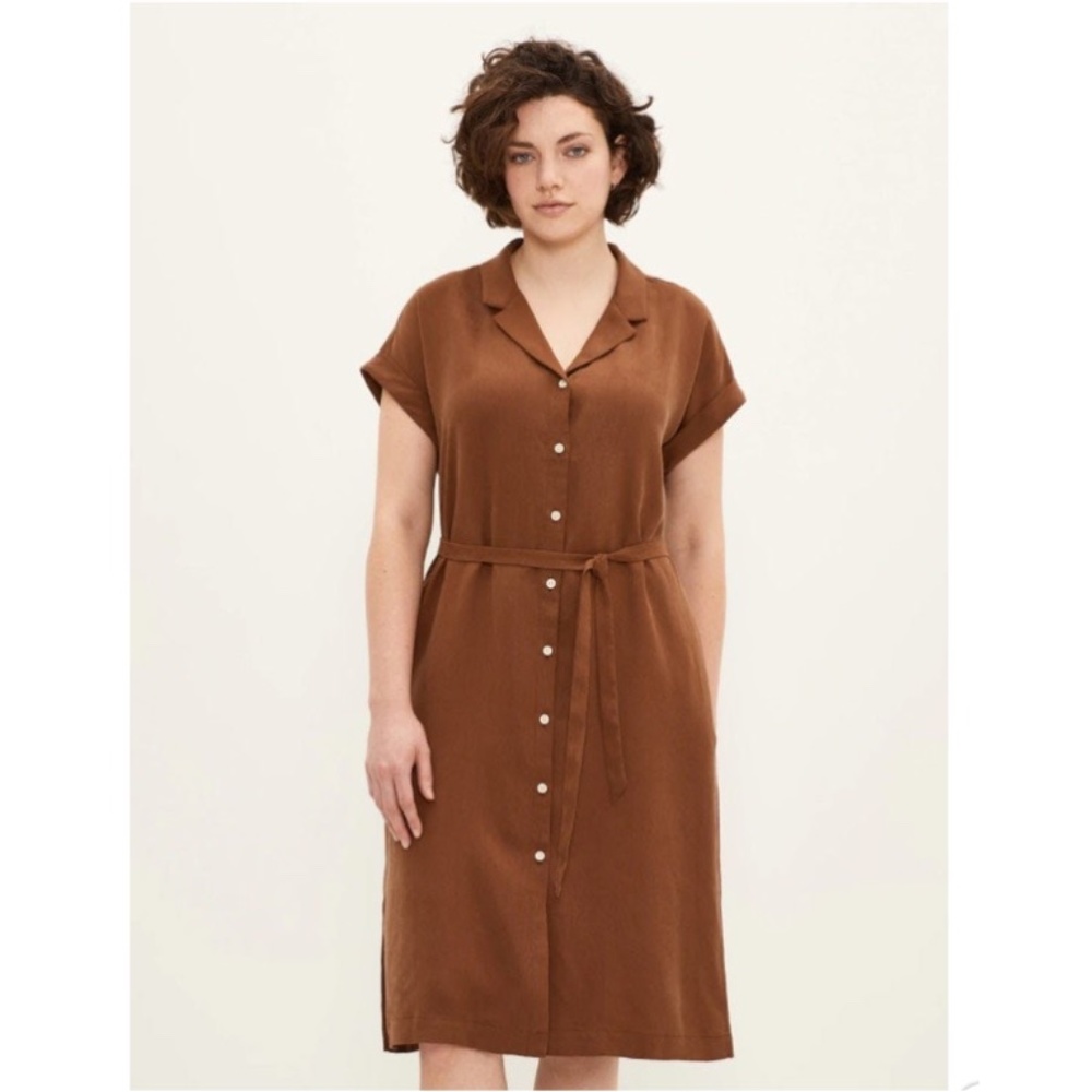 Frank and Oak Camp Collared Dress